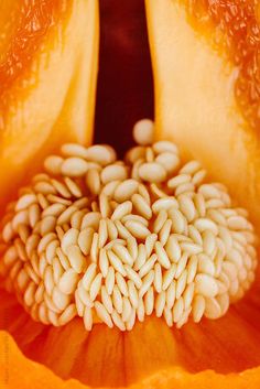 the inside of an orange flower with seeds