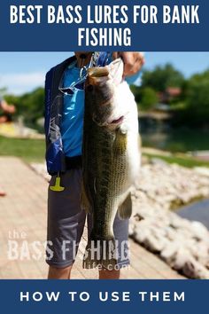 a man holding up a large fish on the dock with text overlay that reads best bass lures for bank fishing how to use them