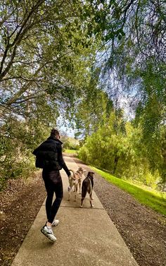 a person walking two dogs down a path