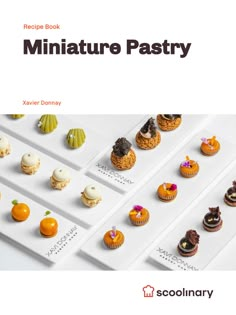 the recipe book for miniature pastry