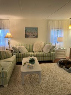 a living room filled with furniture and a dog laying on the floor next to it