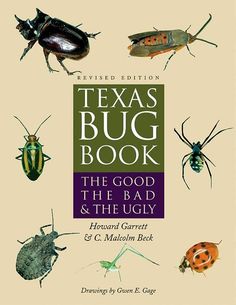 texas bug book the good, the bad and the ugly