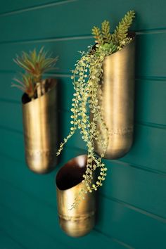 two gold vases with plants in them hanging on a wall next to a blue wall