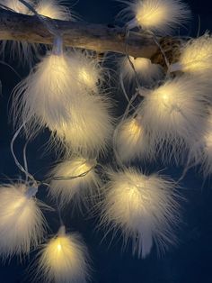 white feathers are hanging from a branch with some lights on it's end and one is lit up