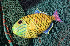 a yellow fish sitting on top of a green net next to a red and blue rope