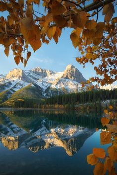 the mountains are reflected in the still water of this lake as autumn leaves hang from the branches