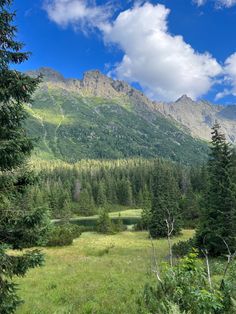 the mountains are covered with trees and grass