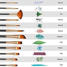 the different types of paint brushes are shown in this chart, which one should use?