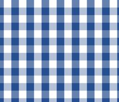 a blue and white gingham checkered fabric pattern that looks like it is woven