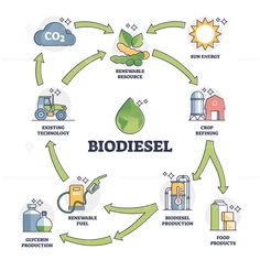 the biodiesel cycle is shown in this graphic, which shows how it works