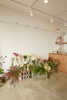 a room filled with lots of different types of flowers and plants in vases next to each other