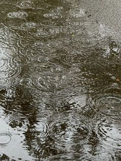 rain drops falling on the ground and trees in the background