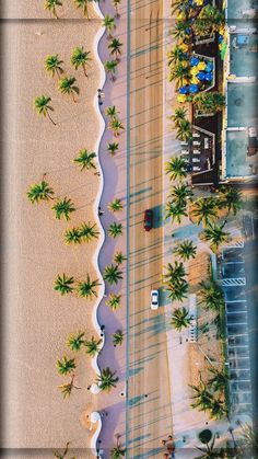 an aerial view of a beach with palm trees and cars parked on the side of it