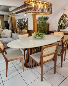 a dining room table with chairs and a potted plant