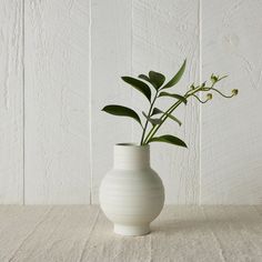 a white vase with a plant in it