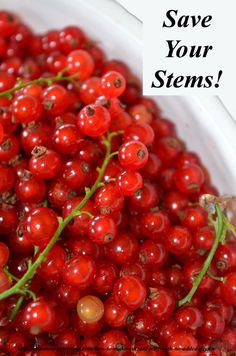 some red berries in a white bowl with the words save your stems on it's side