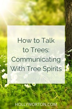 How to Talk to Trees: Communicating With Tree Spirits - Holly Worton How To Talk To Trees, Talking To Trees, How To Talk To Spirits, How To Communicate With Spirits, Tree Spirit Art, Nature Spirit Art, Land Spirits, Talk To Trees, Plant Communication