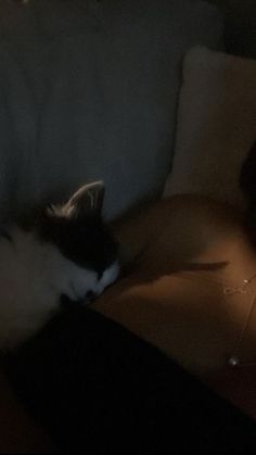 a black and white cat laying on top of a couch next to a person in a dark room