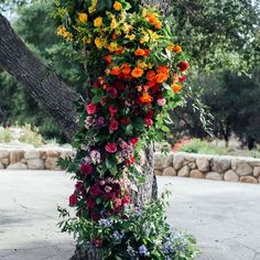 a tree with flowers growing up the side of it