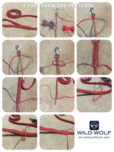 the instructions for how to make a paracord pet leash with rope and hooks