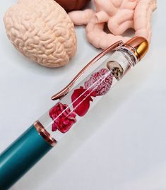 a pen sitting on top of a table next to a model brain and other items