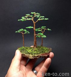 a hand holding a miniature tree on top of a rock