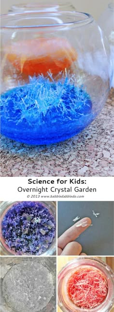 science for kids overnight crystal garden in a glass bowl with blue and orange liquid inside