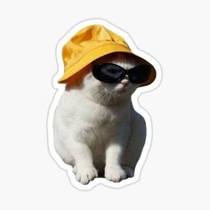 a white cat wearing a yellow hat and sunglasses