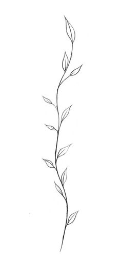 Minimal Ivy Tattoo, Tattoo Leaves Vine, Simple Leaf Vine Tattoo, Vine Sketch Simple, Vine Of Flowers Drawing, Vines Art Drawing, Leaf Chain Tattoo, Leaf Spine Tattoos For Women, Vine Work Tattoo