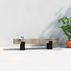 a concrete bench sitting next to a potted plant