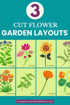 an illustrated guide to cut flower garden layouts