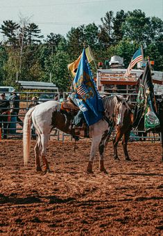 two horses with flags on their backs in an arena