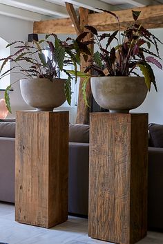 two large planters sitting on top of wooden blocks in front of a living room