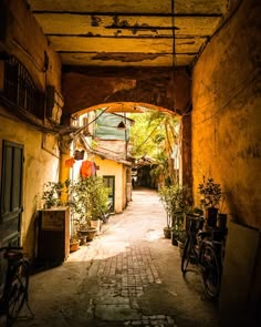 an alley way with potted plants and bicycles