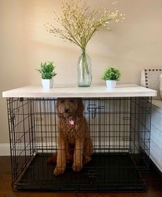 a brown dog sitting in a cage on top of a table