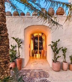 an entrance to a house with potted plants