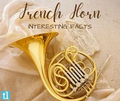 a french horn with the words, interesting fact on it's front and side