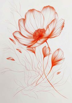 an artistic drawing of two red flowers on a white background with long, thin lines