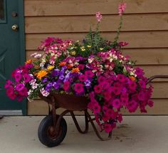 a wheelbarrow filled with lots of colorful flowers