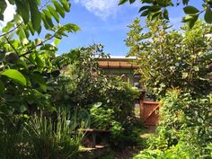 a garden with lots of trees and plants in the foreground, next to a building