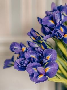 purple flowers are in a vase with green stems