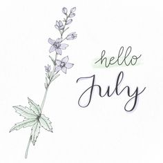 the words hello july are written in black ink on a white background with purple flowers