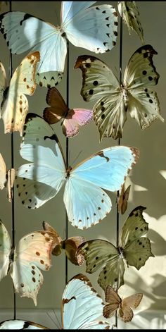 many butterflies are flying in the air and one is on top of a wire fence