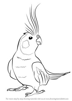 a black and white drawing of a parrot