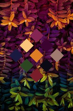 an image of some plants with different colors