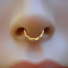 a close up view of a nose with a gold ring on it's side