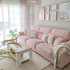 a living room with pink couches and pillows on the back of it's sofa