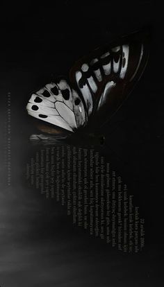 a black and white photo of a butterfly in the dark with text below it that reads,