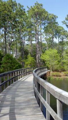 a wooden bridge over a body of water surrounded by trees and grass on both sides