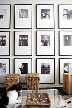 a black and white cat sitting on top of a glass table in front of pictures